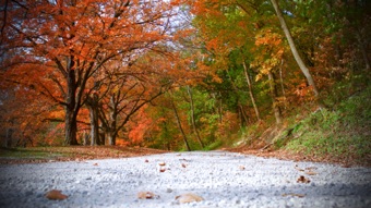 The Road Less Traveled The Road Less Traveled