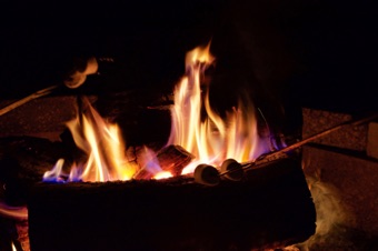 Smores Anyone? Smores Anyone?