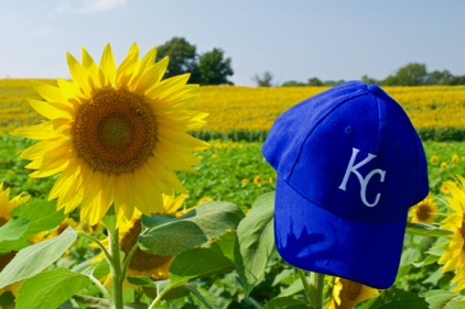 A Bit of Kansas -Grinter Farms
Reno, Kansas
A Bit of Kansas -Grinter Farms
Reno, Kansas